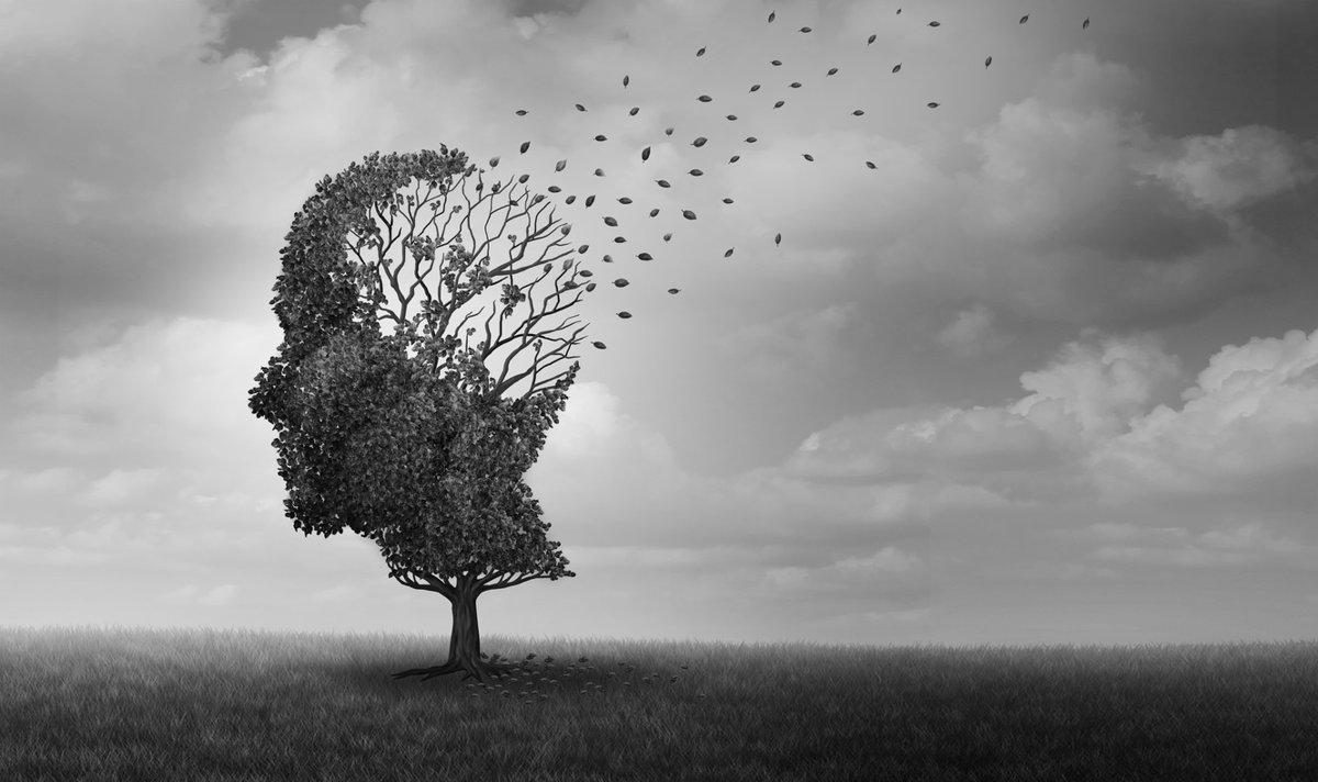Composé naturel réduit le bêta-amyloïde et améliore la mémoire chez les souris atteintes d’Alzheimer